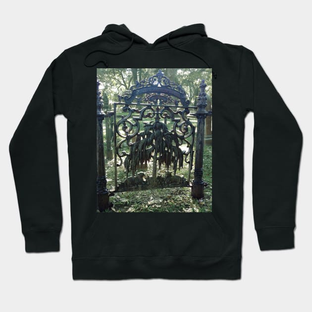 Gate to Paradise Hoodie by Loveday101